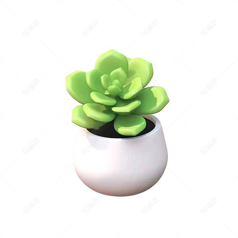 家居桌面装饰盆栽肉肉多肉