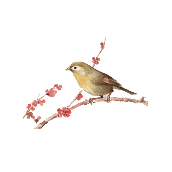 花鸟画设计模板_花鸟画图片大全_免费下载-90设计网