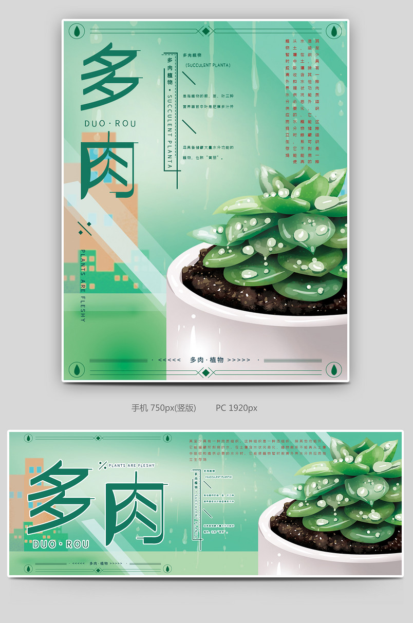 绿色简约时尚小清新盆栽多肉海报