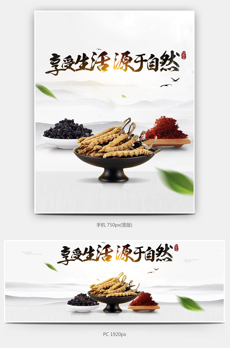 虫草新品首页海报