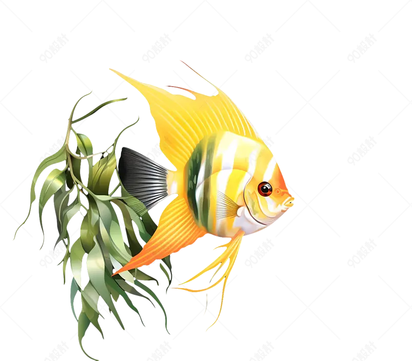 海洋馆知识手册手绘卡通小鱼