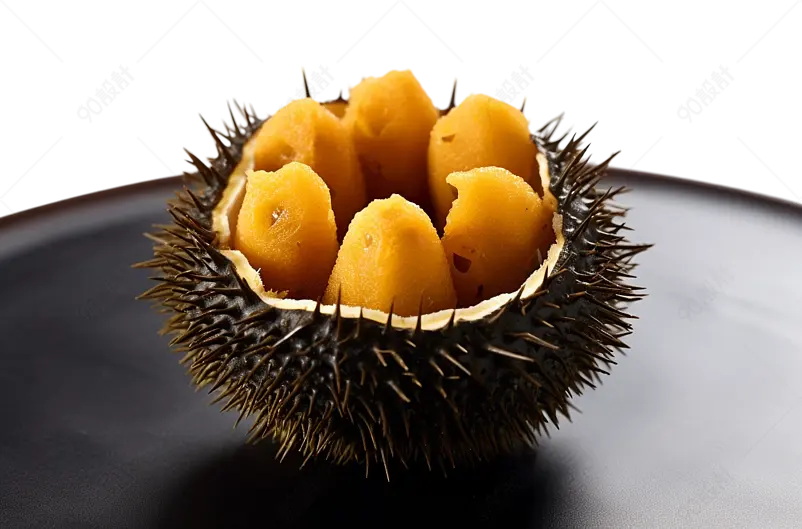 西餐美食海产品食品食用海胆