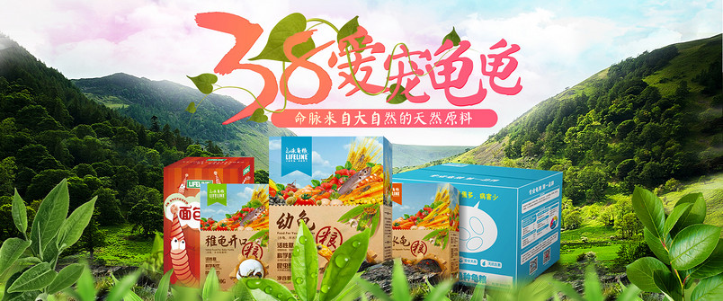 38妇女节清新自然宠物乌龟粮食全屏海报