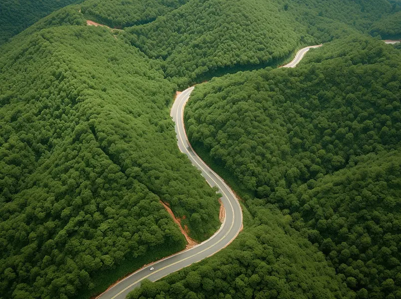 一条蜿蜒道路穿过森林茂密的大山