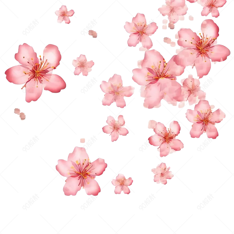 唯美飘洒的粉色花瓣樱花花朵