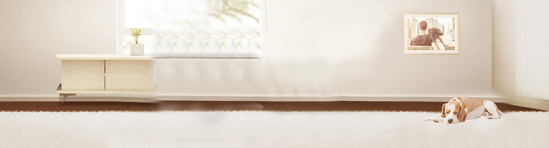 香槟金时尚典雅温馨家居背景海报