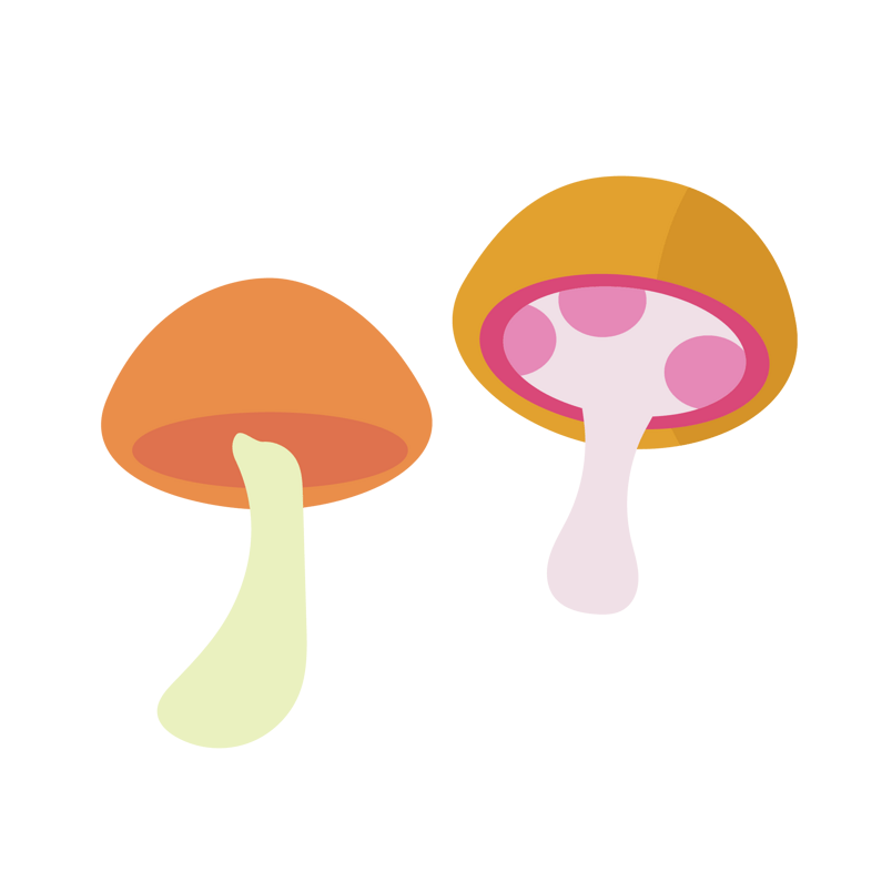 彩色蘑菇素材矢量插画