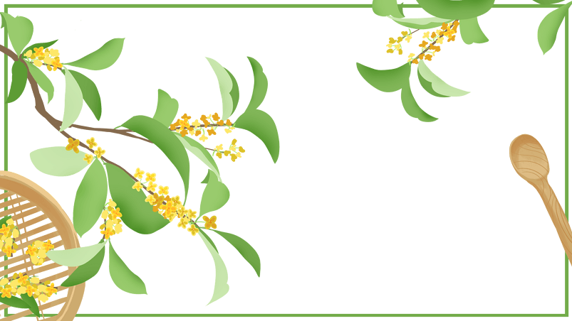 花朵树叶小清新装饰边框