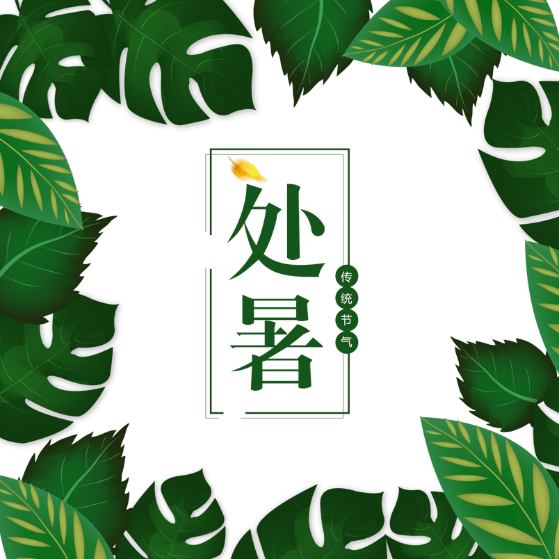 处暑手绘卡通绿叶