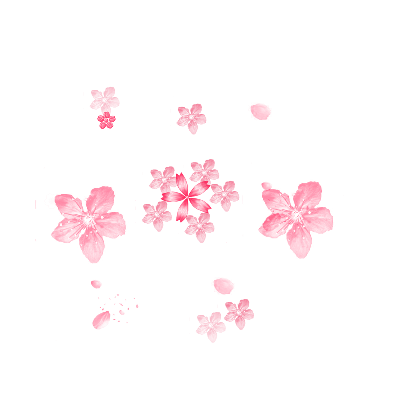 樱花花朵花瓣元素