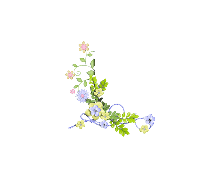 花草植物