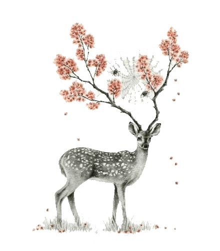 水墨画梅花鹿