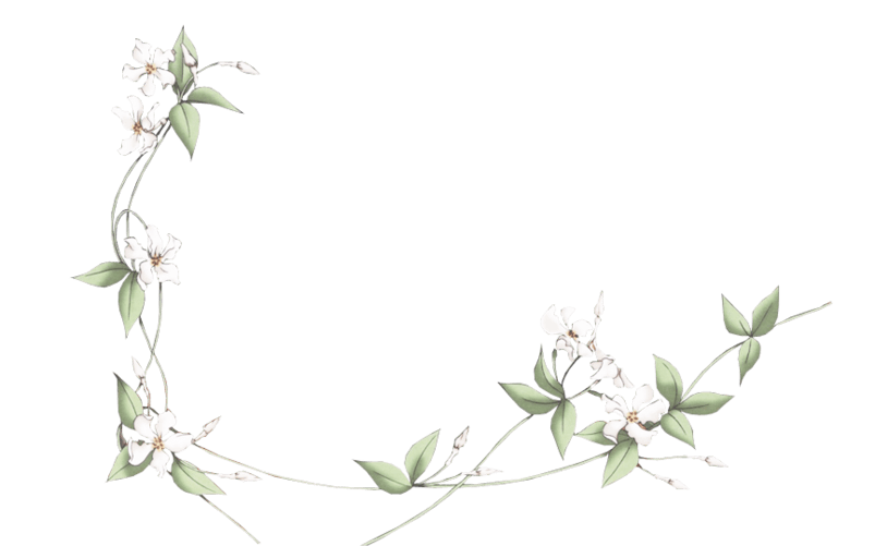 藤蔓花环