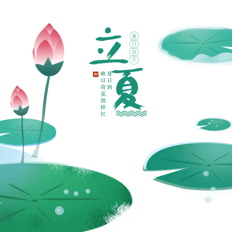 节气立夏荷花夏至png