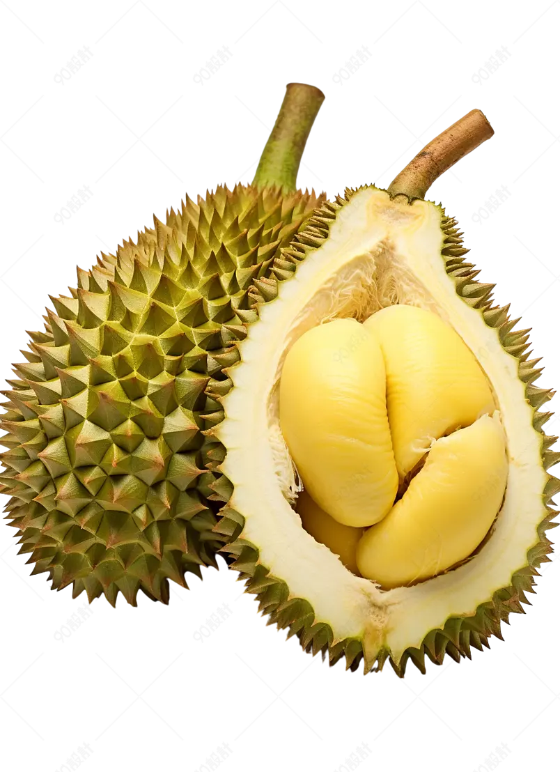 金黄秀人甜度高金枕头榴莲