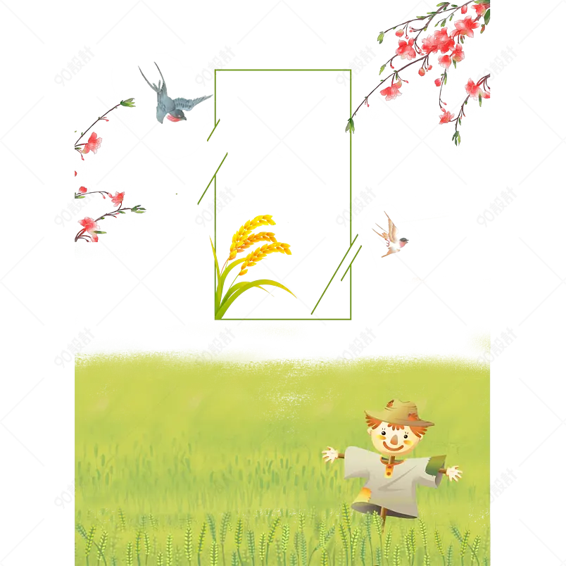 装饰元素节气秋收小麦背景通用素材