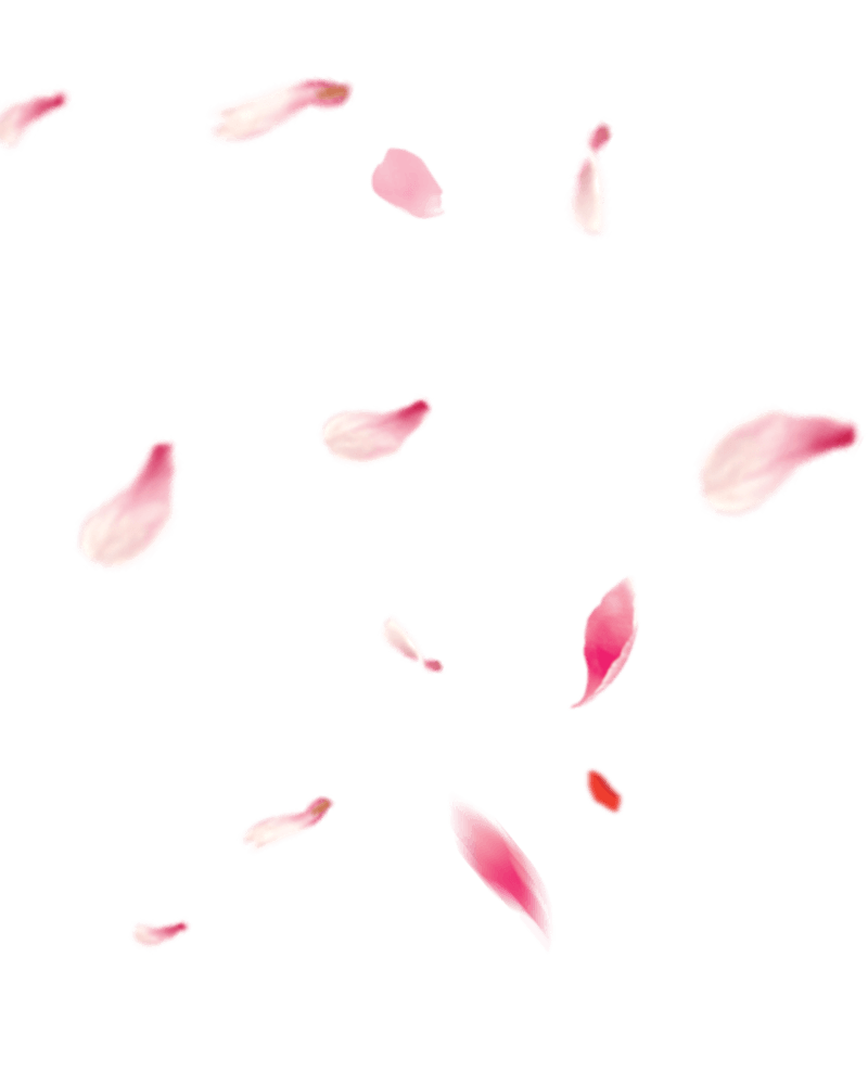 漂浮的樱花花瓣