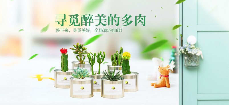 清新唯美日常促销多肉植物全屏海报