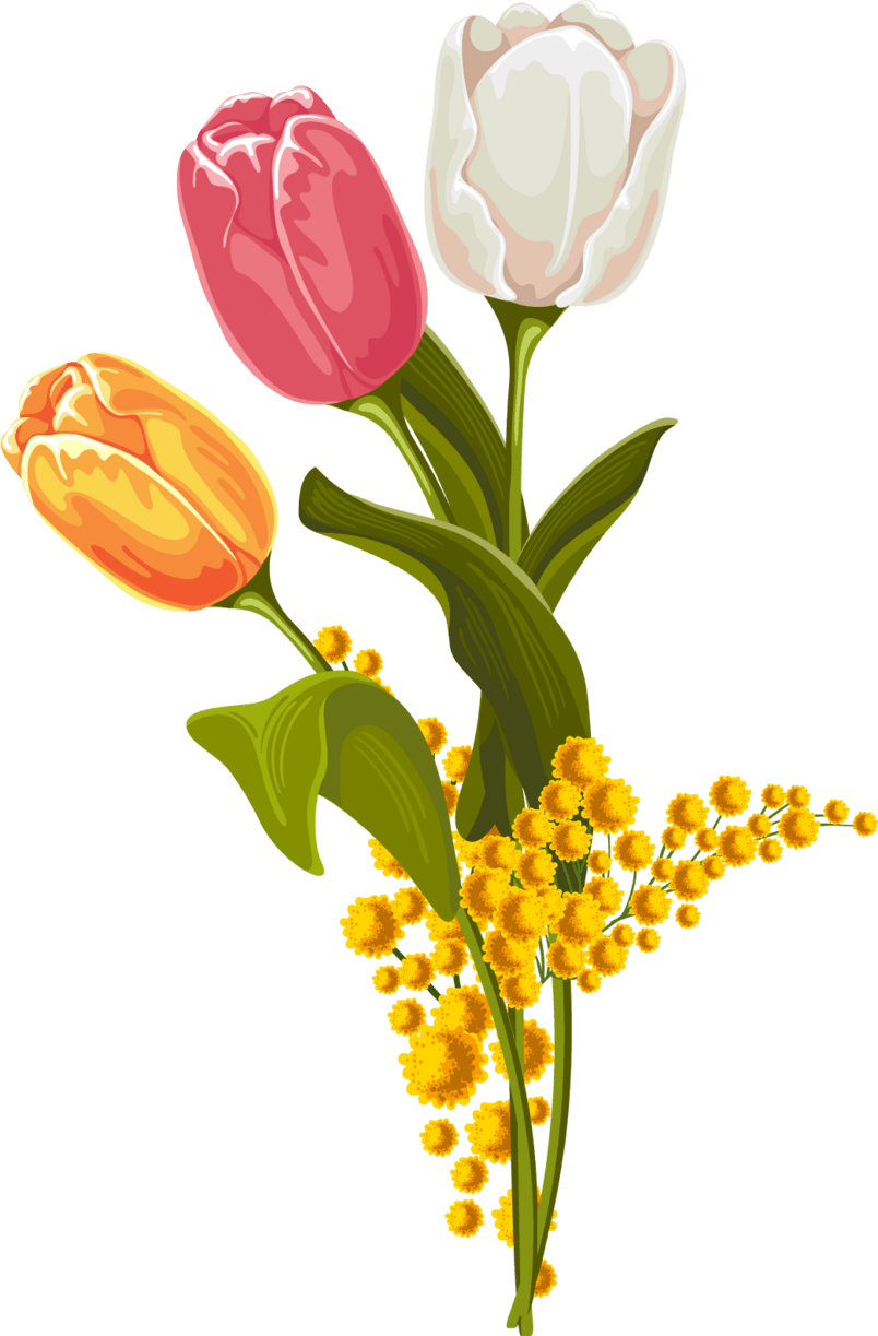 郁金香花卉