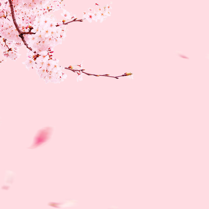 粉色三八节女神级女装主图详情页背景