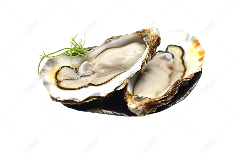 灰白色实拍生蚝海鲜美食食品元素