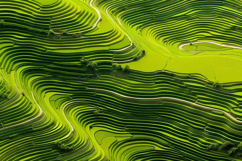 大自然美景大山上的梯田线条