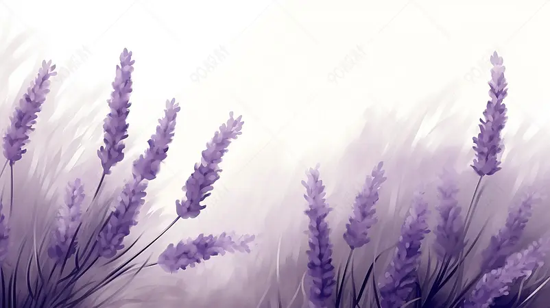 海报设计背景广告设计素材元素芳香薰衣草