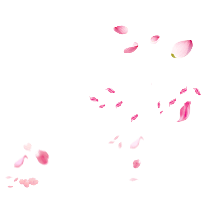 粉色花瓣