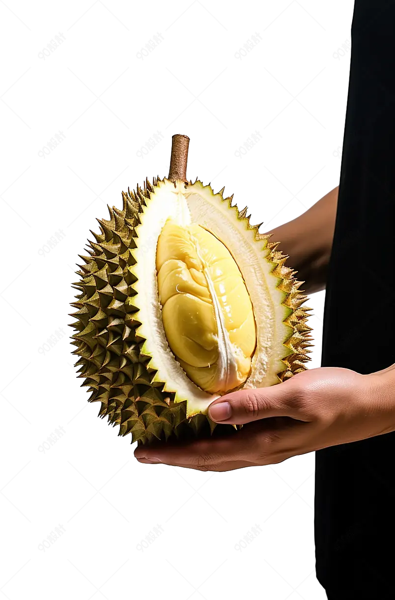 精选高品质肉质肥厚大果榴莲
