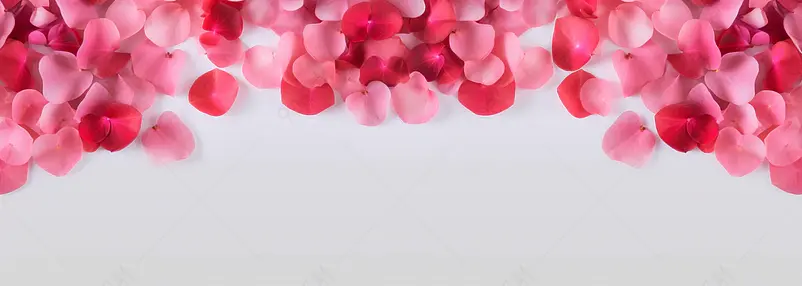 玫瑰花瓣罗曼蒂克礼物婚庆浪漫平面设计背景