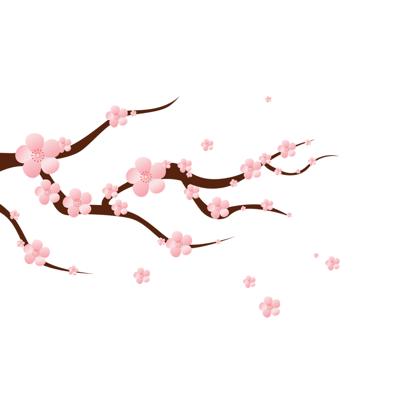 红色梅花粉红梅花树枝