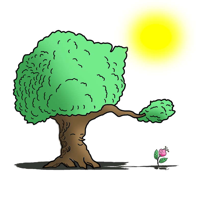大树花朵太阳帮助遮阳