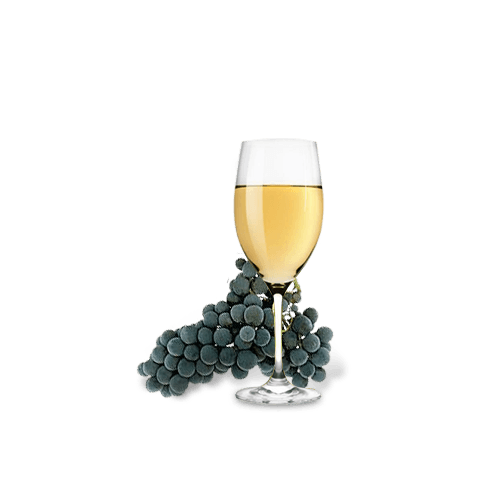 葡萄和葡萄酒