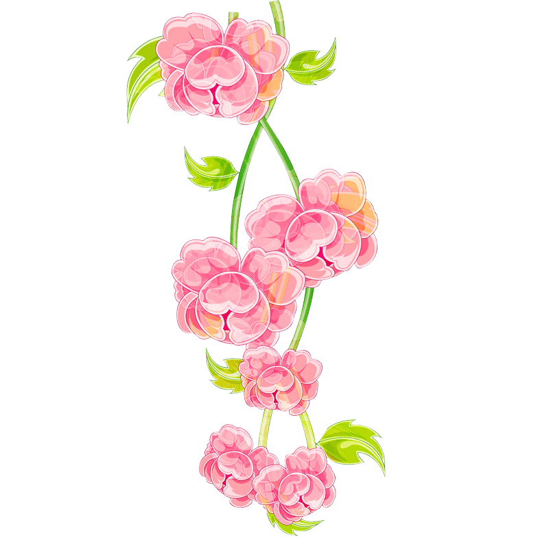 花边花纹花框鲜花