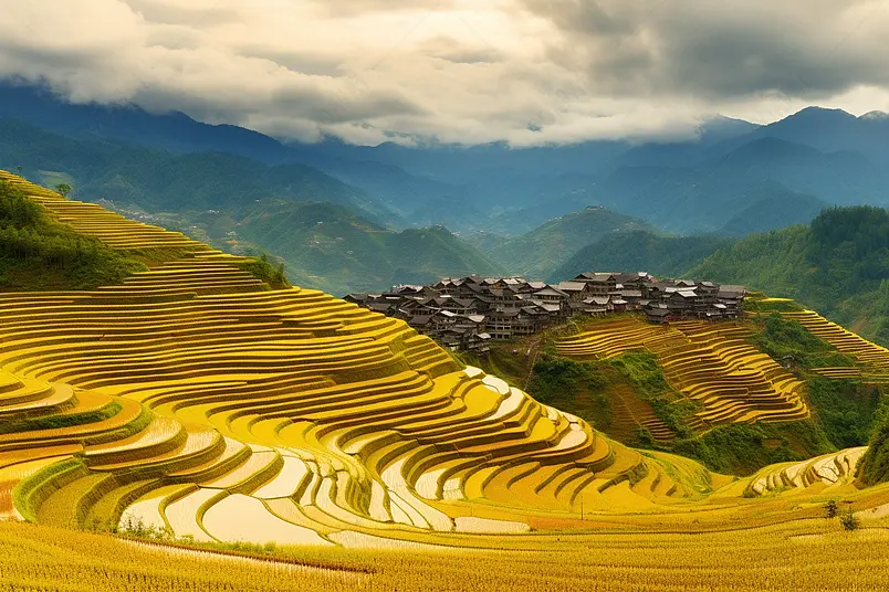 蓝天下的群山金黄色梯田线条层次景观摄影图