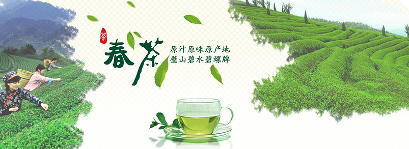 春茶节茶叶时尚小清新店铺首页海报模板素材