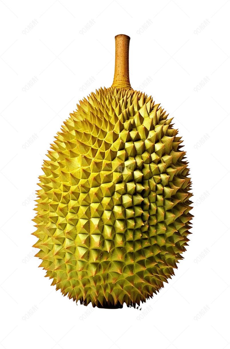精选优质大果品质新鲜榴莲