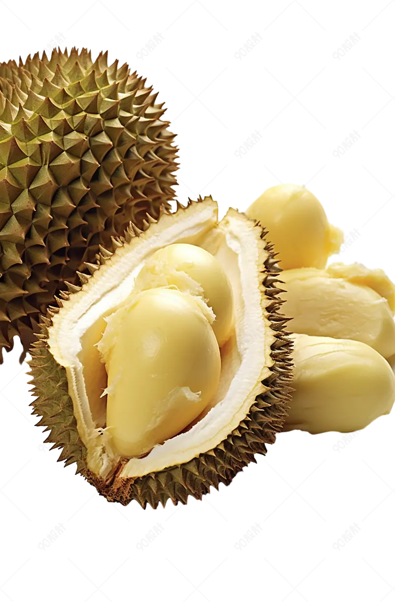 泰国榴莲营养丰富含有维生素