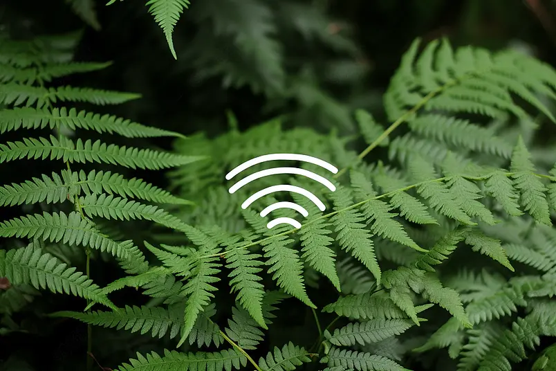 wifi