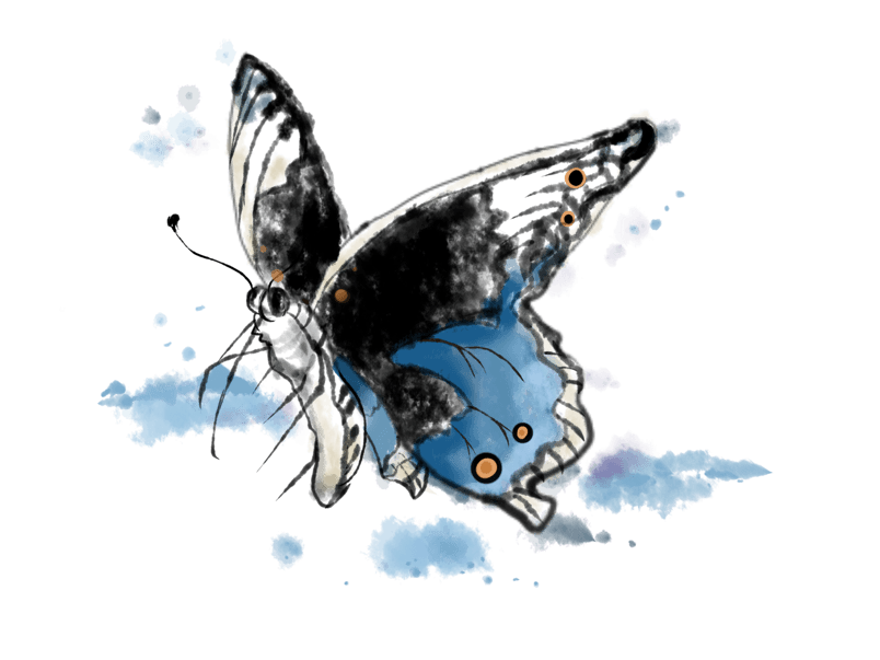 水墨画彩墨一只蝴蝶