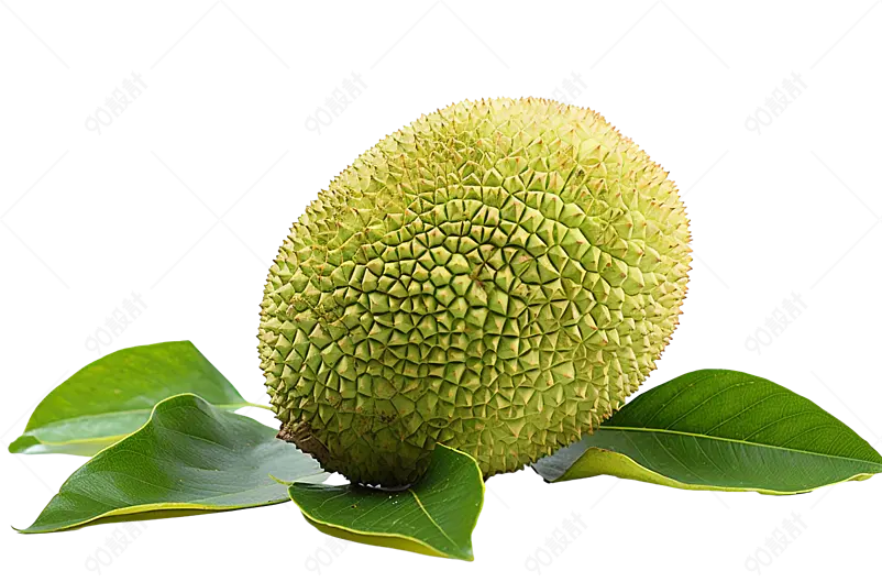 越南进口菠萝蜜水果波罗蜜