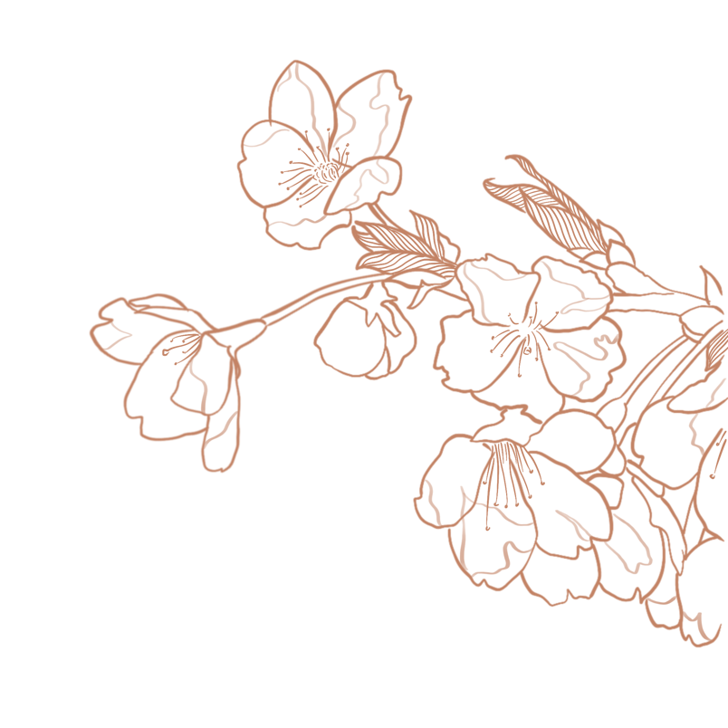 樱花国风线描清新淡雅