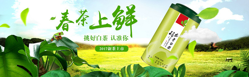 淡雅绿色清新春茶上市茶叶海报PSD模板