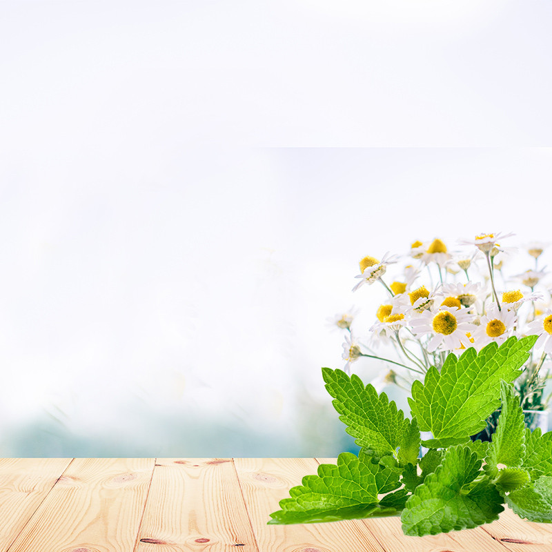 天猫数码家电场景小清新花元素主图背景