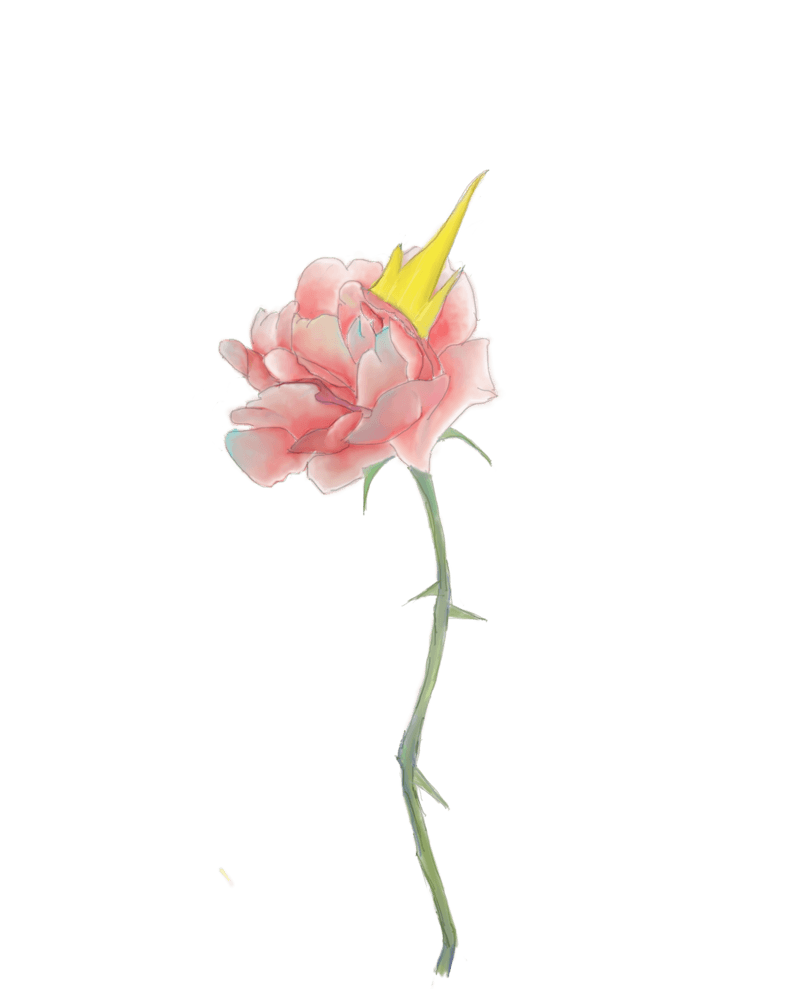 节日情人礼物装饰贺卡