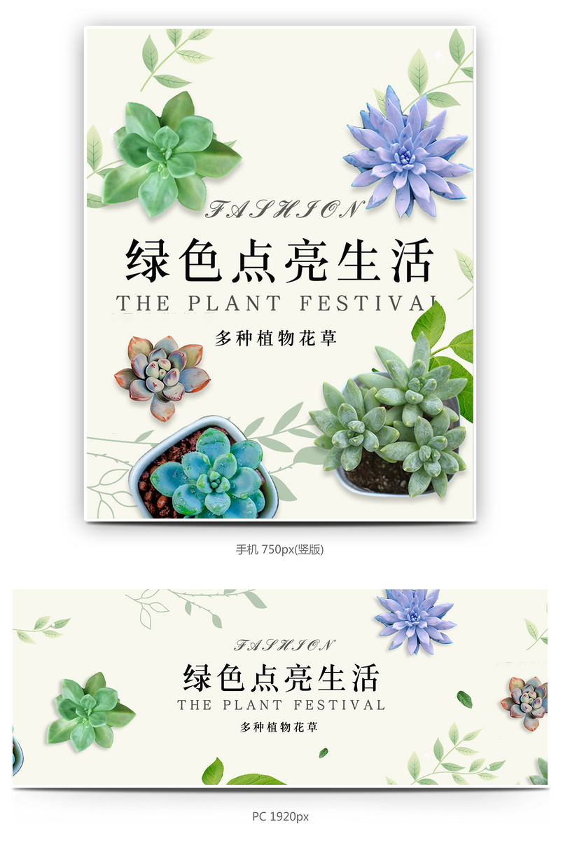 简约清新风格日常多肉植物全屏海报