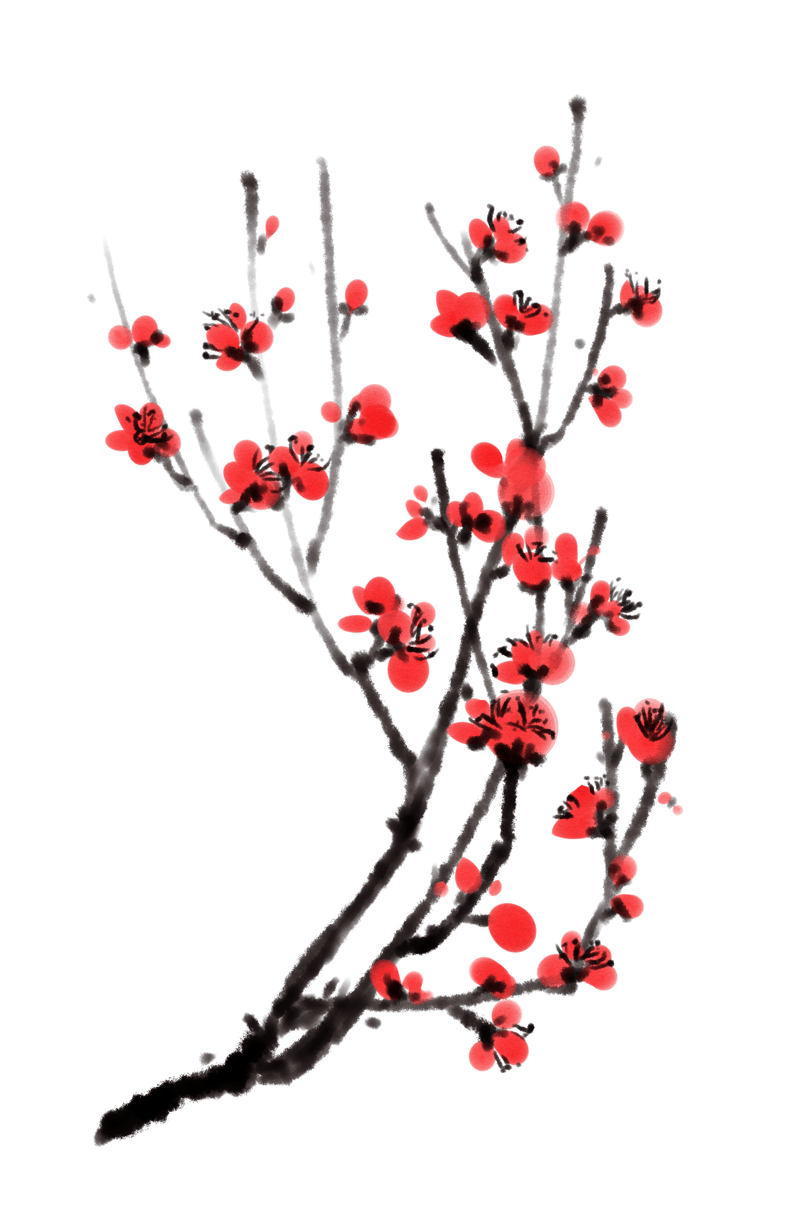 植物花枝水墨梅花花卉插画