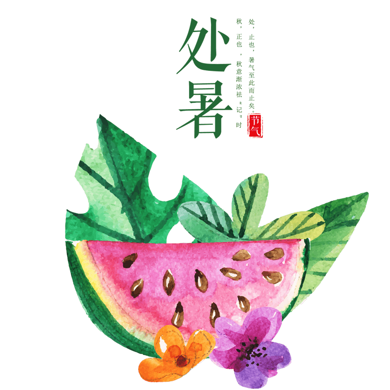 处暑节气西瓜psd