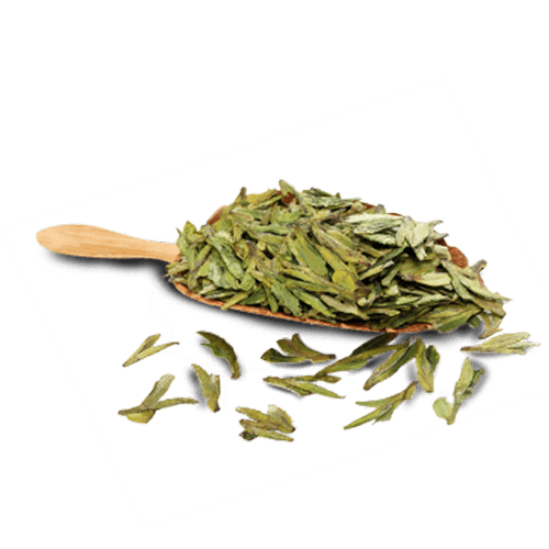 春茶茶叶