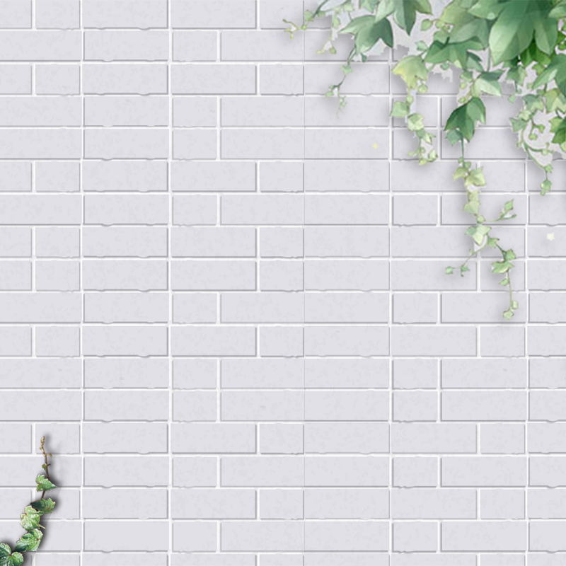 简约淡雅文艺清新电商主图背景